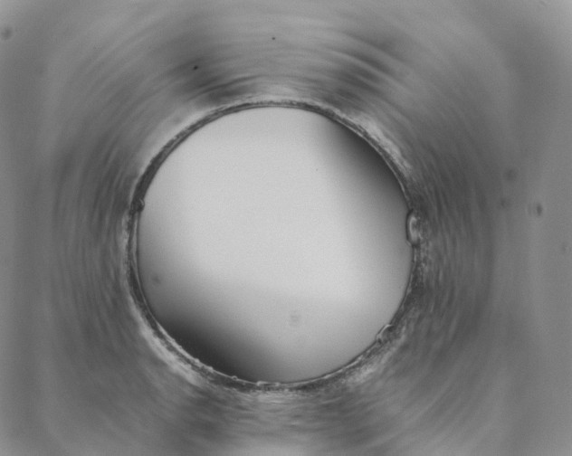 X0000088361134200706121048