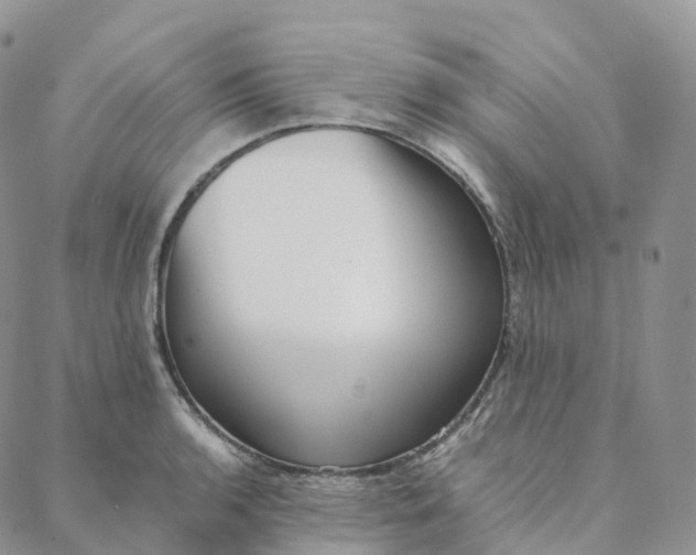 X0000088361136200706121048