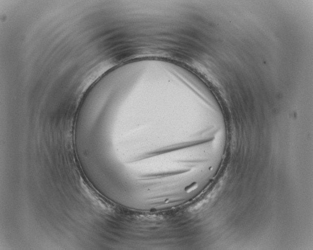 X0000088361137200706121048