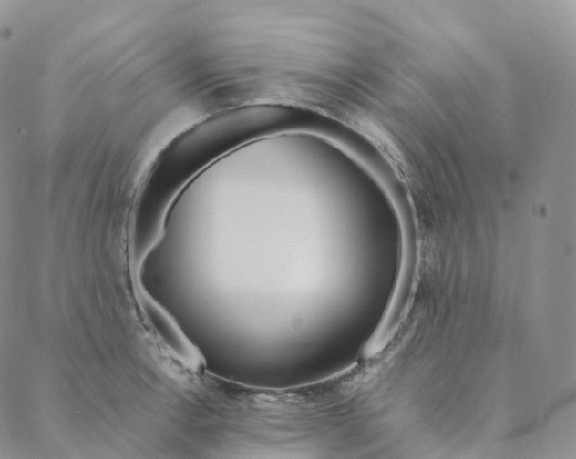 X0000088361138200706121048