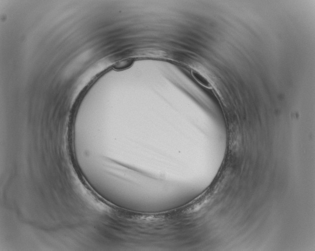 X0000088361139200706121048