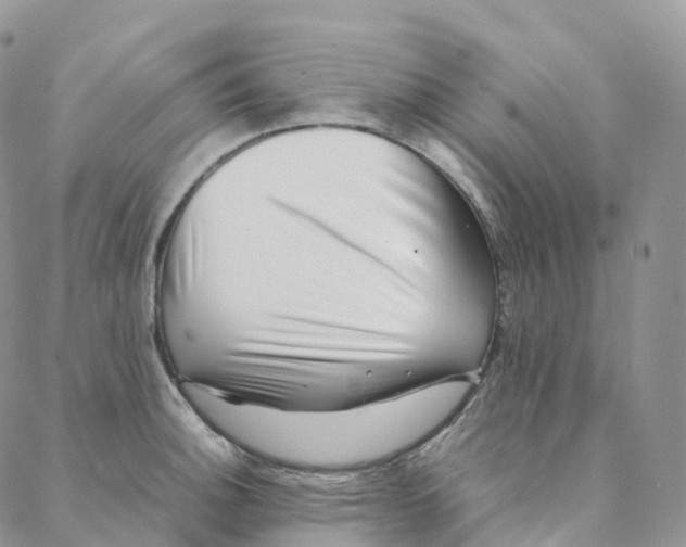 X0000088361140200706121048