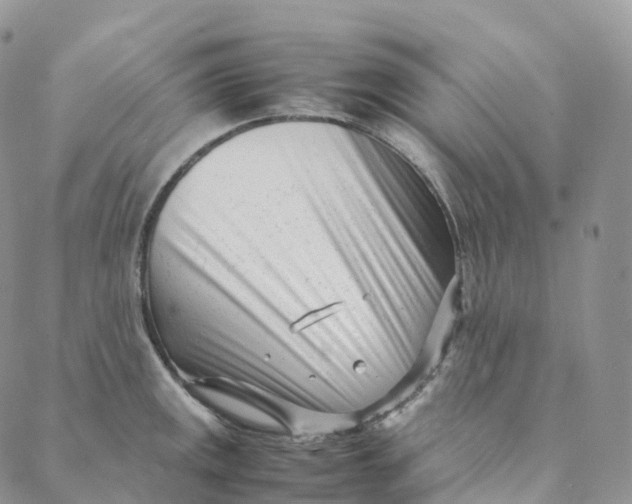 X0000088361141200706121048