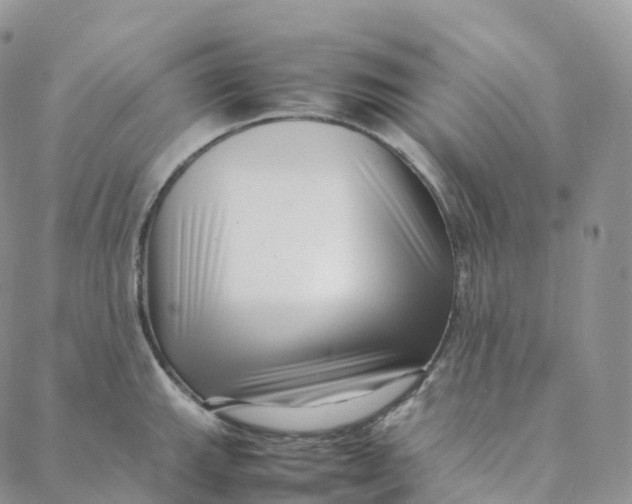 X0000088361143200706121048