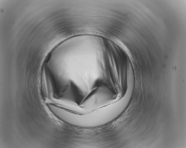 X0000088361144200706121048