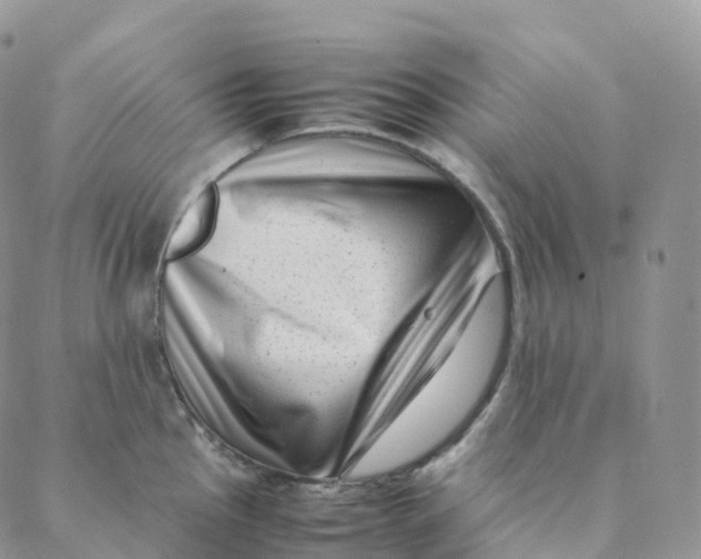 X0000088361145200706121049