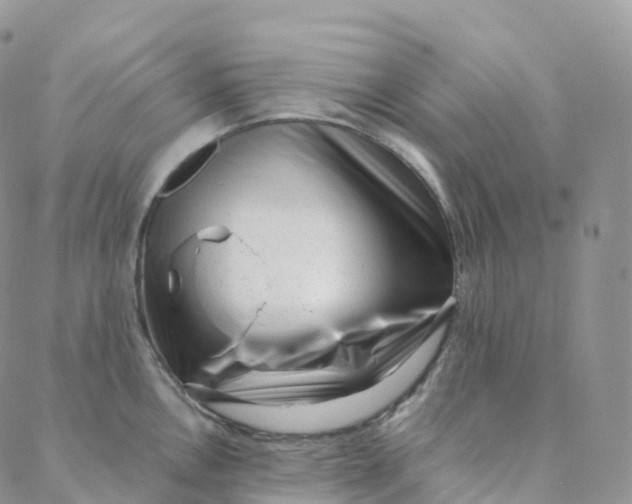 X0000088361146200706121049