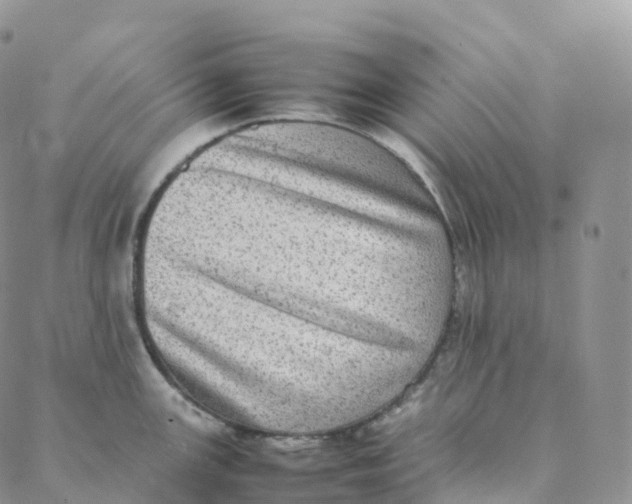 X0000088361147200706121049