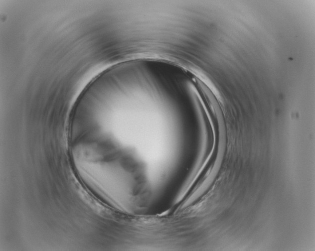 X0000088361148200706121049