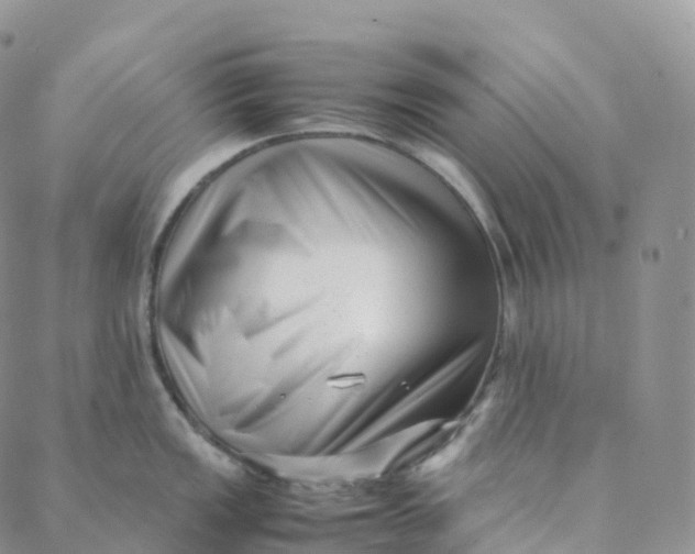 X0000088361149200706121049