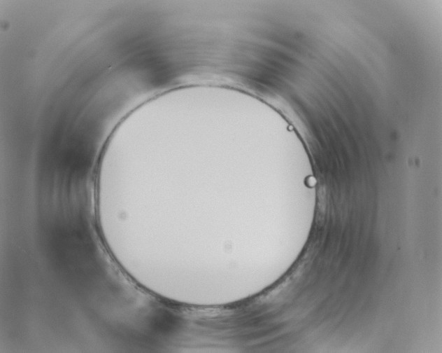 X0000088361150200706121049