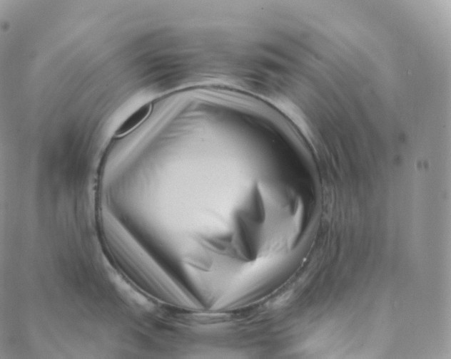 X0000088361151200706121049