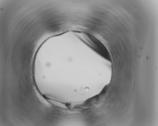 X0000088361152200706121049