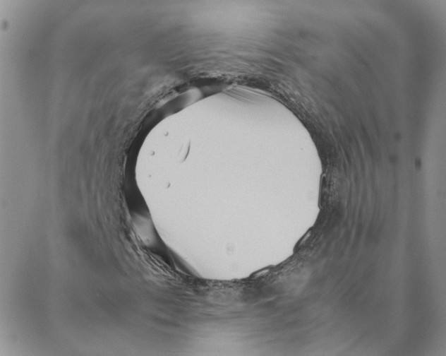 X0000088361153200706121048