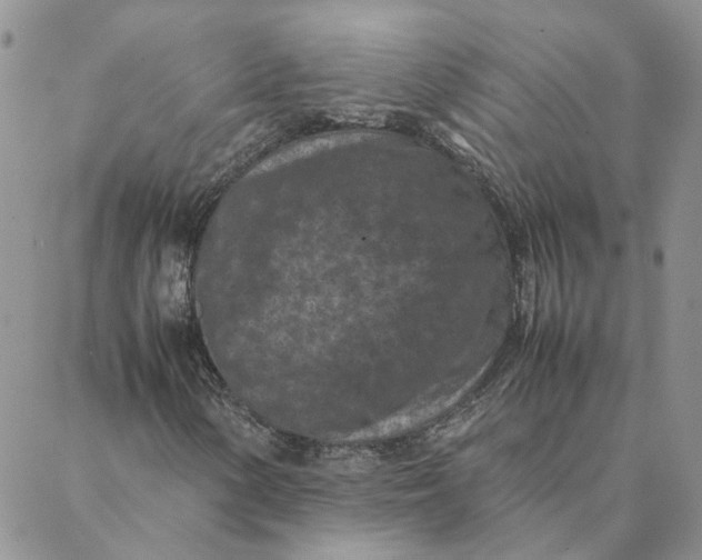 X0000088361154200706121048