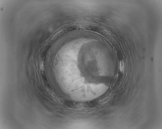 X0000088361155200706121048