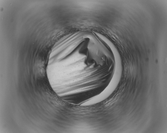 X0000088361156200706121048