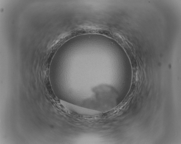 X0000088361157200706121048