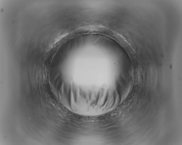 X0000088361158200706121048