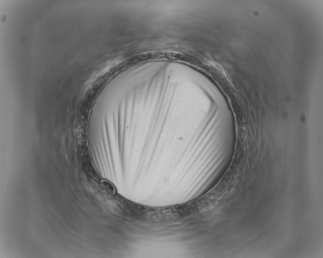 X0000088361159200706121048