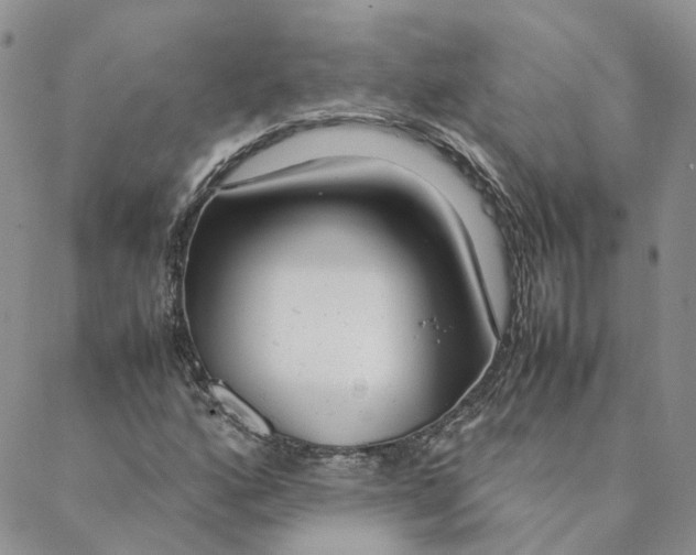 X0000088361160200706121048