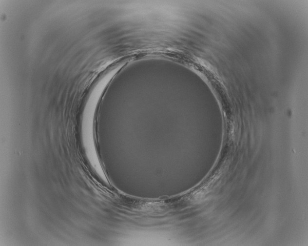 X0000088361161200706121048