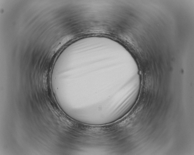 X0000088361162200706121048