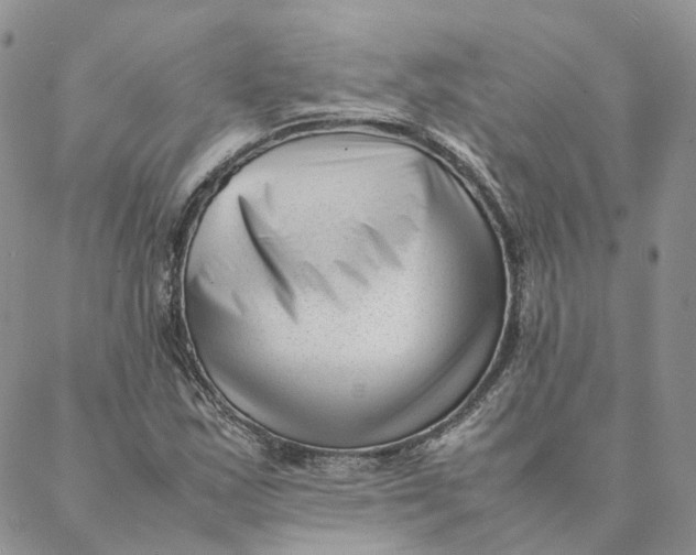 X0000088361163200706121048