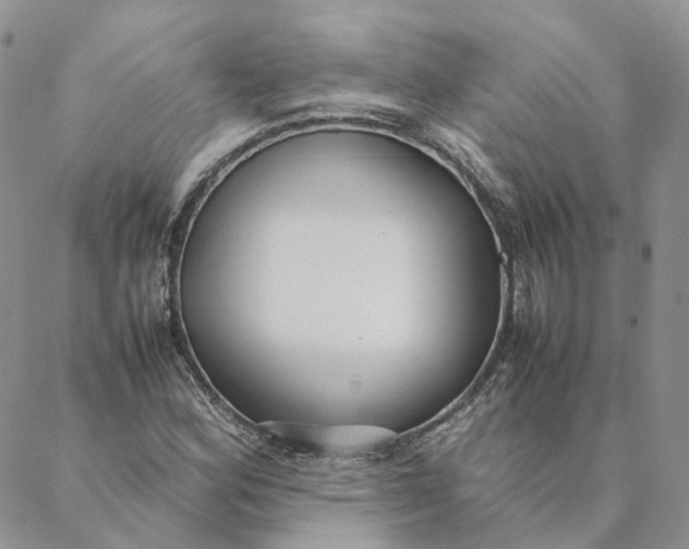 X0000088361164200706121048