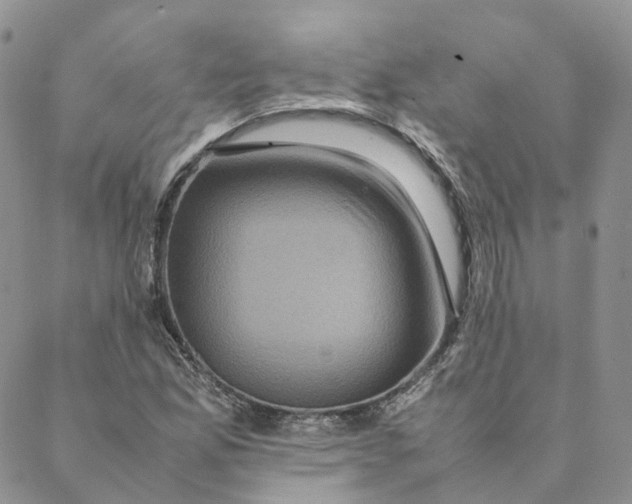 X0000088361165200706121048