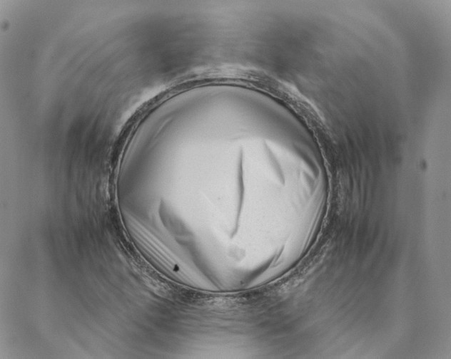 X0000088361166200706121048