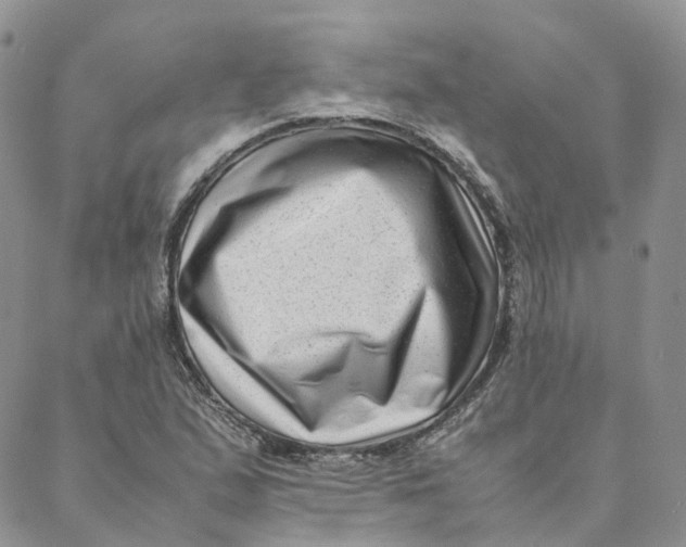 X0000088361167200706121048