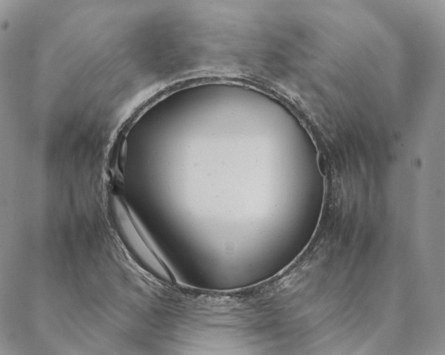 X0000088361168200706121048