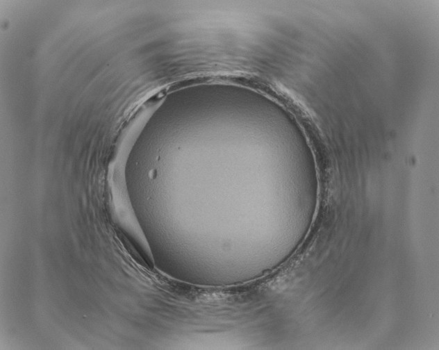 X0000088361169200706121048