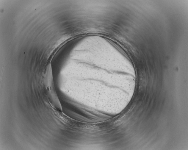 X0000088361170200706121048