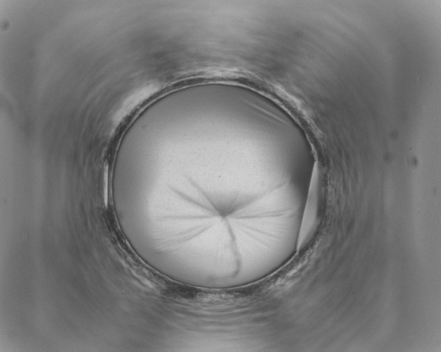 X0000088361171200706121048