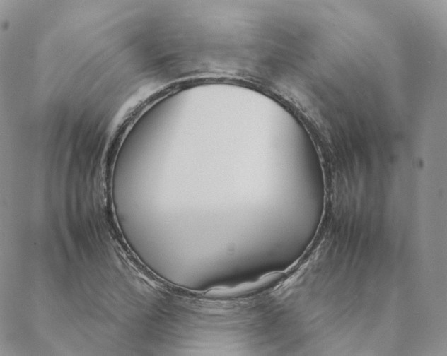 X0000088361172200706121048