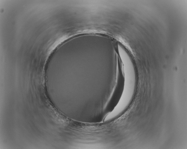 X0000088361173200706121048