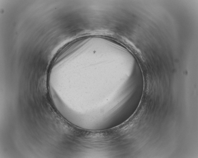 X0000088361174200706121047