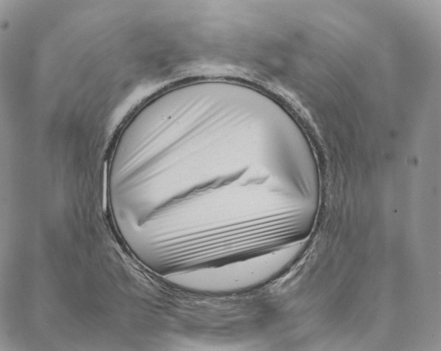 X0000088361175200706121047