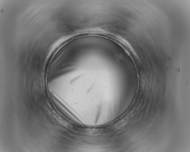 X0000088361176200706121047