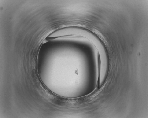 X0000088361177200706121047