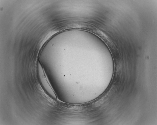 X0000088361178200706121047