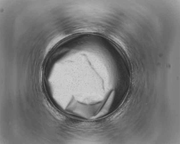 X0000088361179200706121047