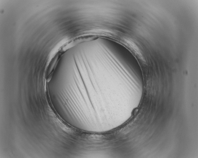 X0000088361180200706121047