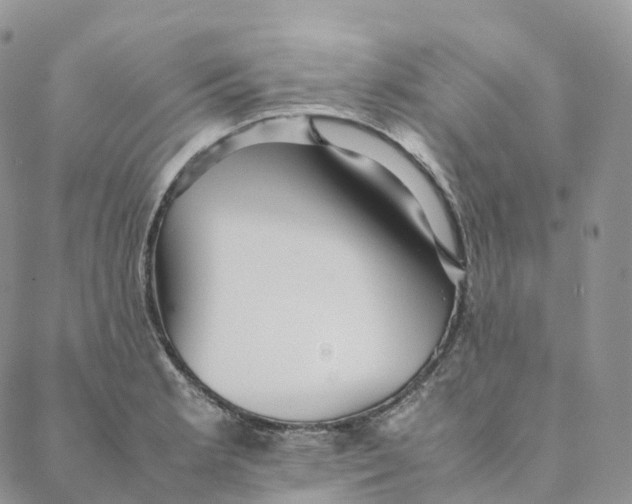 X0000088361181200706121047