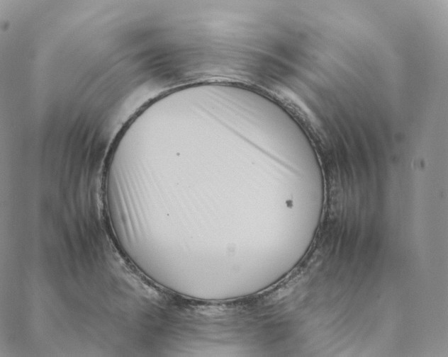 X0000088361182200706121047