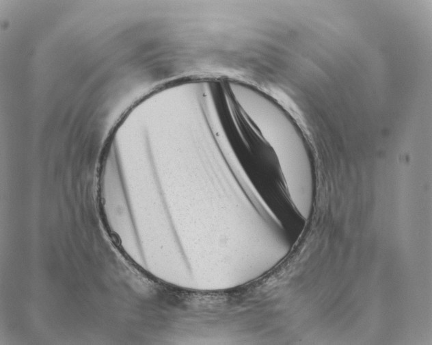 X0000088361183200706121047