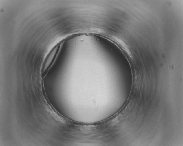 X0000088361184200706121047