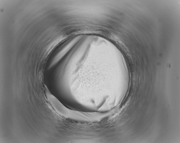 X0000088361185200706121047